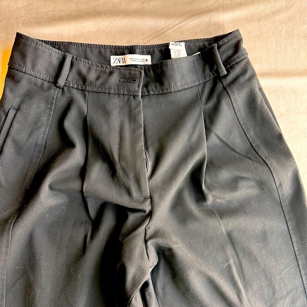 Zara Pants